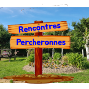 Design sans titre 5