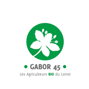 GABOR 45 