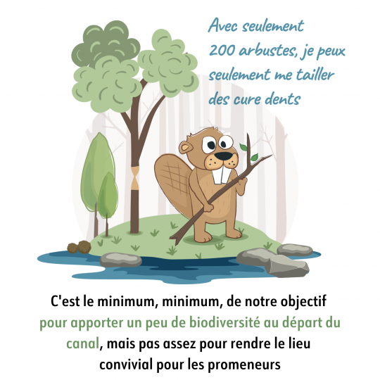 Cest le minimum minimum de notre objectif pour apporter un peu de biodiversite au depart du canal mais pas assez pour rendre le lieu convivial pour les promeneurs4